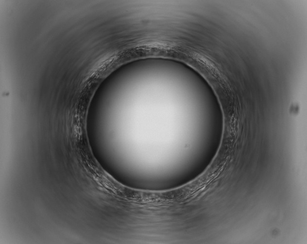 X0000101190774200806271315