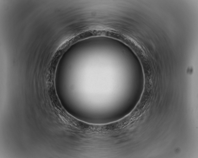 X0000101190775200806271315