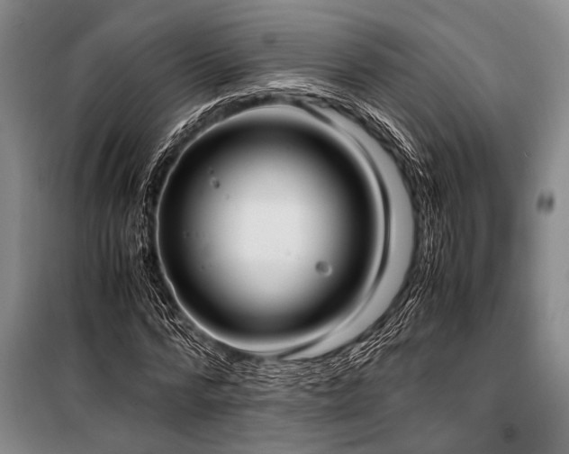 X0000101190776200806271315