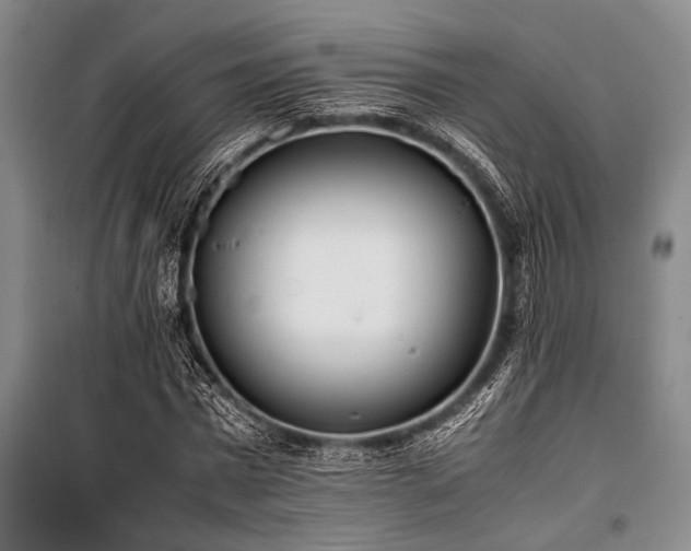 X0000101190777200806271315