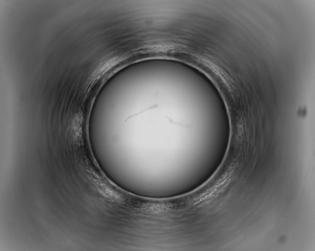 X0000101190778200806271315