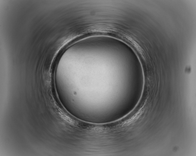 X0000101190779200806271315