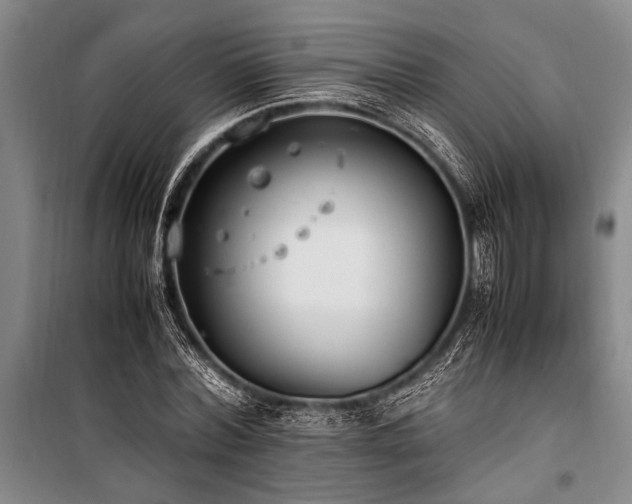 X0000101190780200806271315