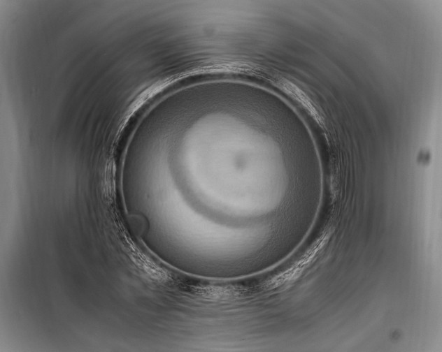X0000101190781200806271315