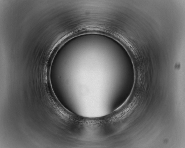 X0000101190782200806271315