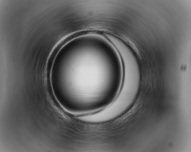 X0000101190784200806271315