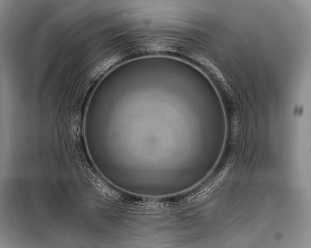 X0000101190785200806271315