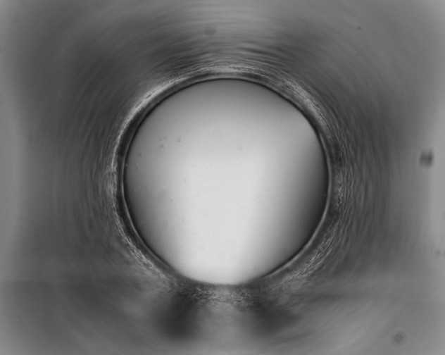 X0000101190787200806271315