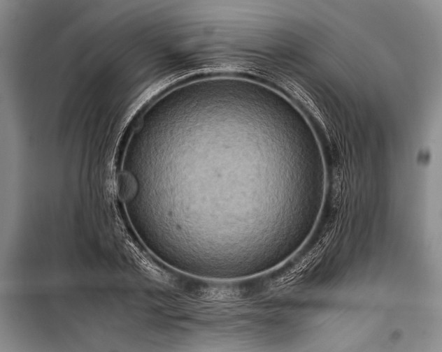 X0000101190789200806271315