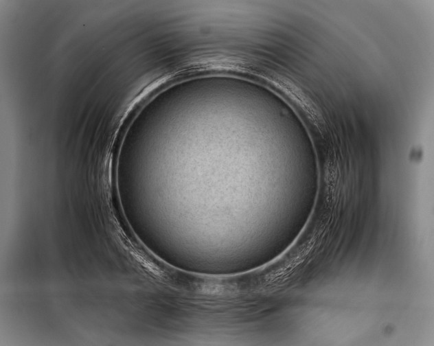 X0000101190790200806271315