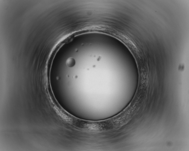 X0000101190792200806271315
