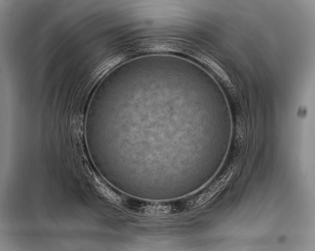 X0000101190793200806271315
