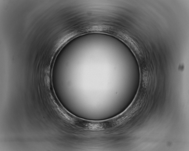 X0000101190794200806271315