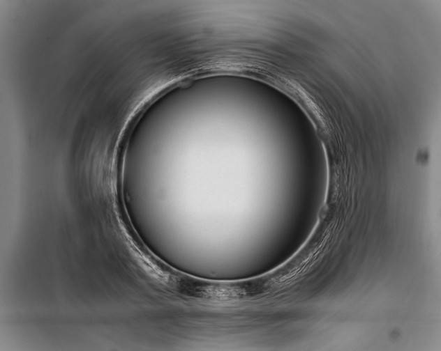 X0000101190795200806271315