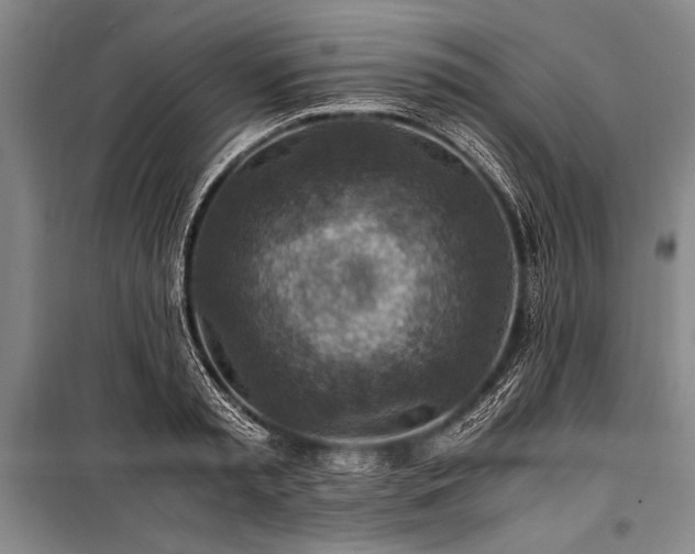 X0000101190797200806271315