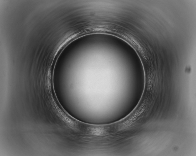 X0000101190798200806271315