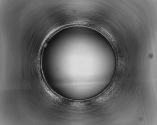 X0000101190800200806271314
