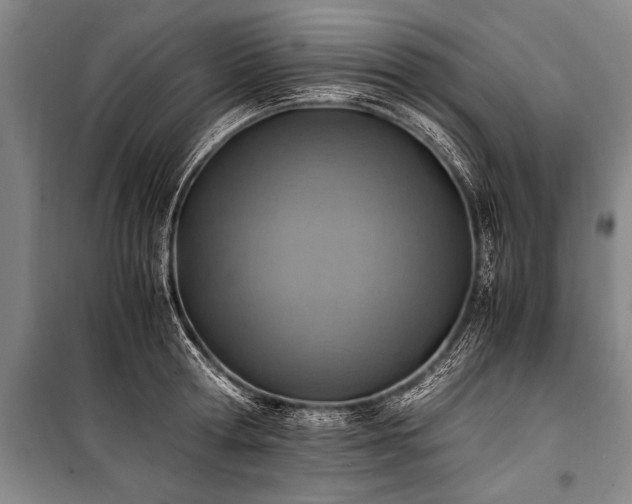 X0000101190802200806271314