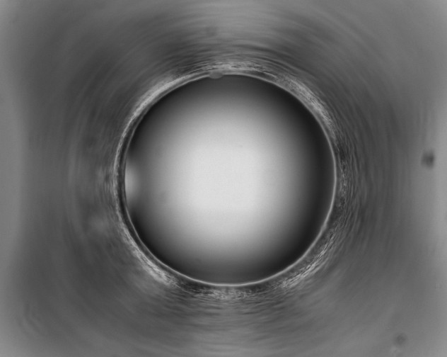 X0000101190803200806271314