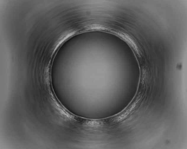 X0000101190806200806271314