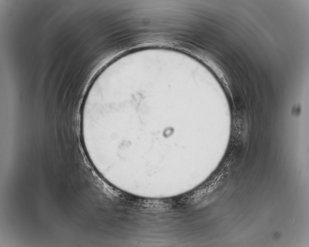 X0000101190807200806271314