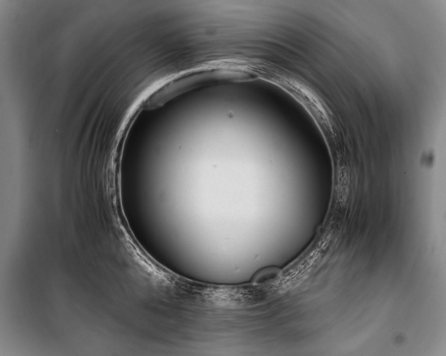 X0000101190808200806271314