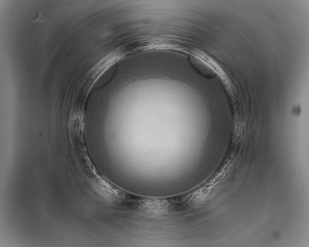 X0000101190809200806271314
