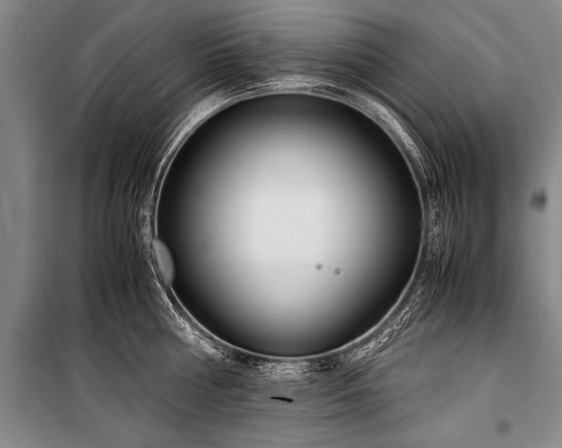 X0000101190810200806271314