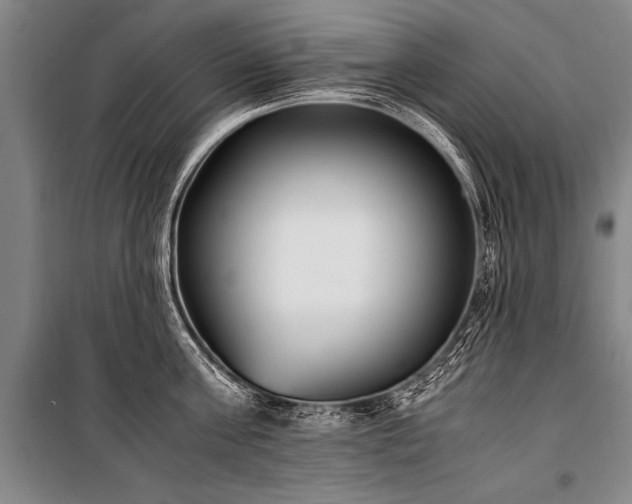X0000101190811200806271314