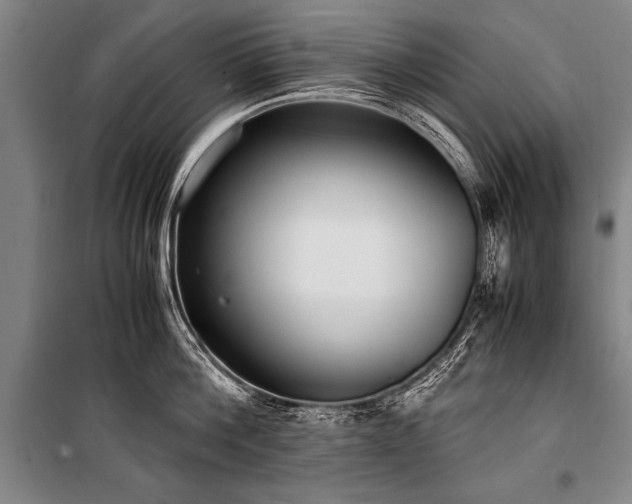X0000101190812200806271314