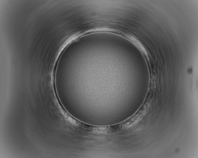 X0000101190813200806271314