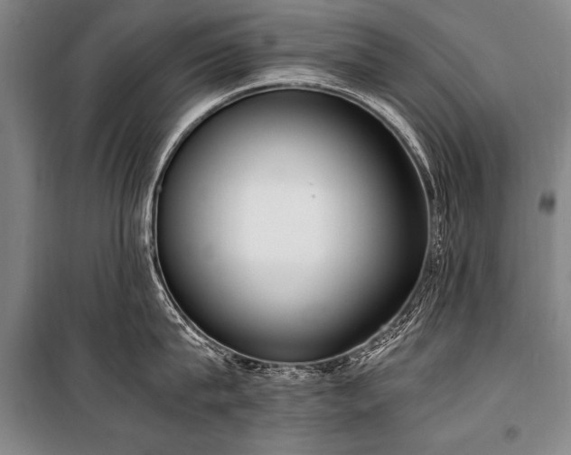 X0000101190815200806271314