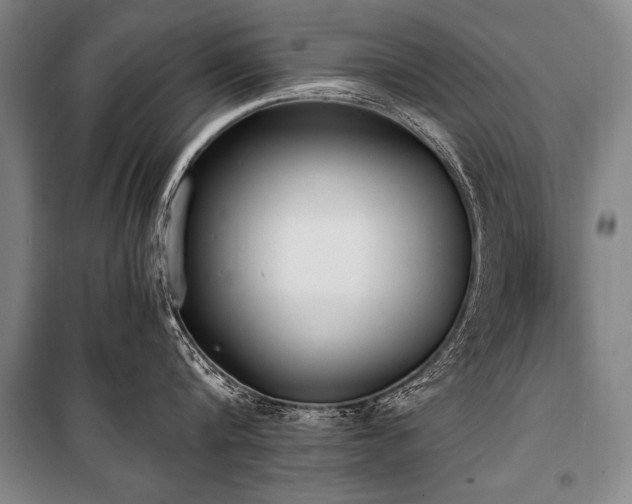 X0000101190816200806271314