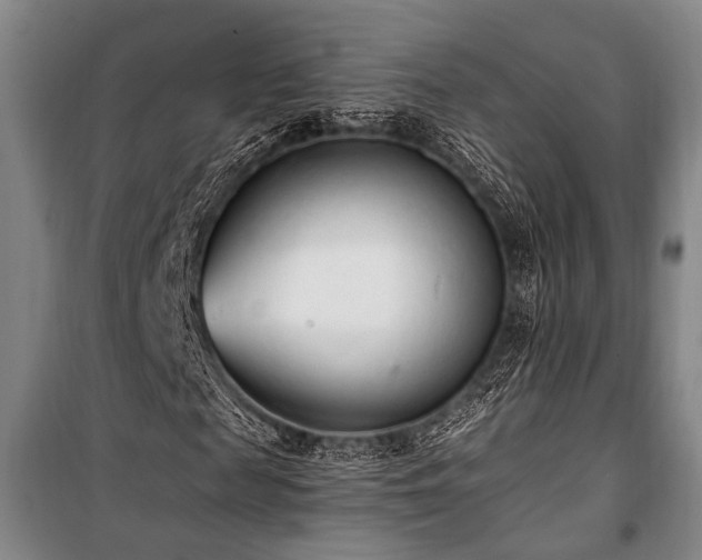 X0000101190817200806271313