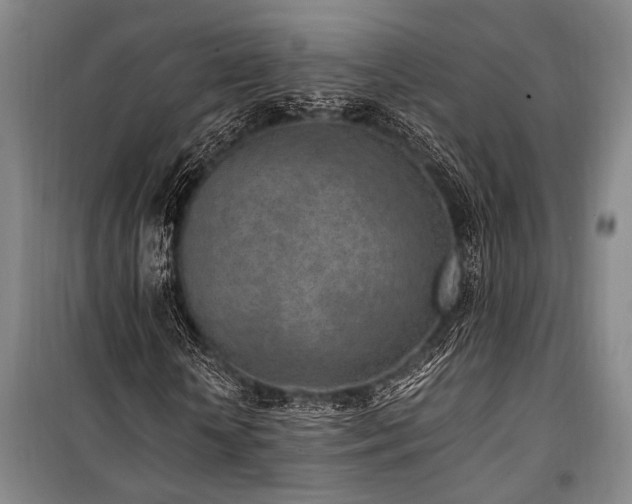 X0000101190818200806271313