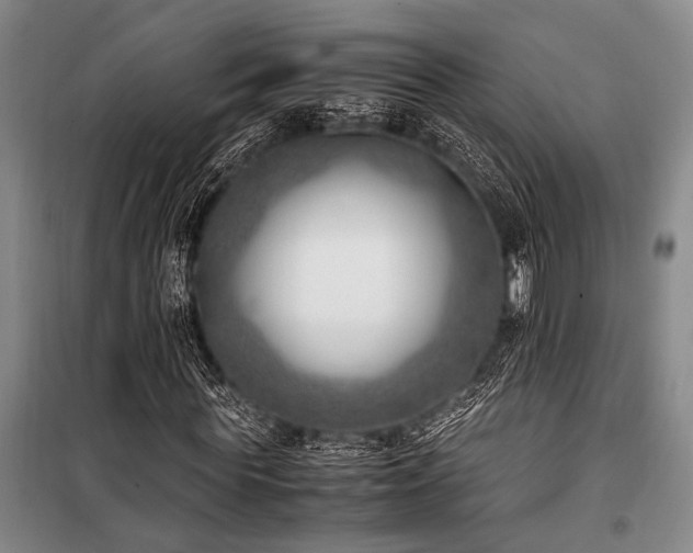 X0000101190819200806271313