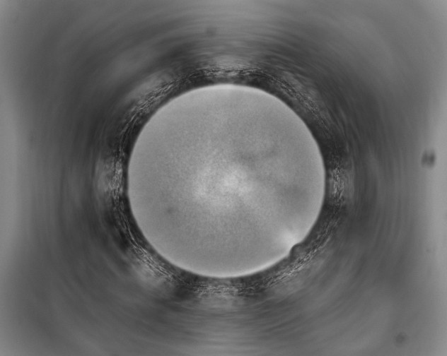 X0000101190820200806271313