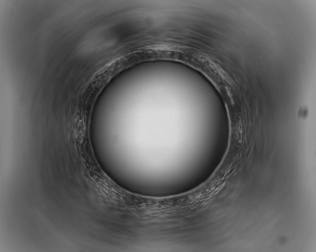 X0000101190821200806271313