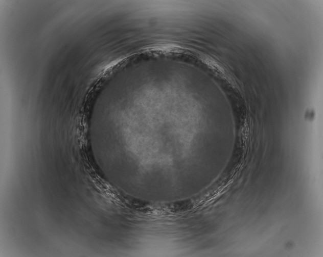 X0000101190822200806271313