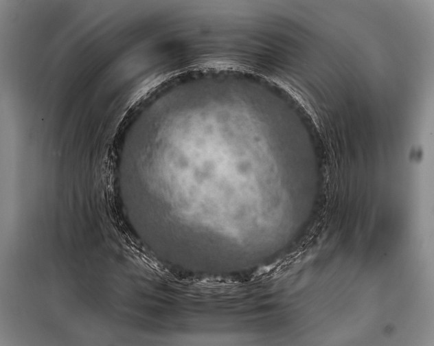 X0000101190823200806271313