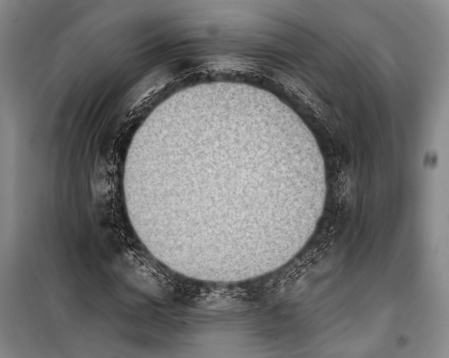 X0000101190824200806271313