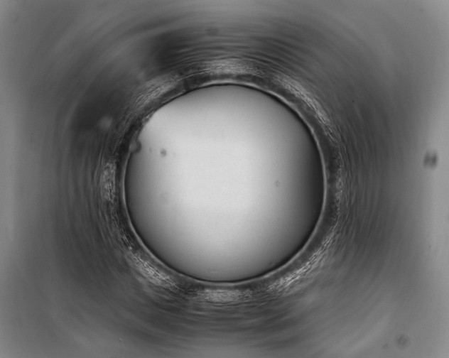 X0000101190825200806271313