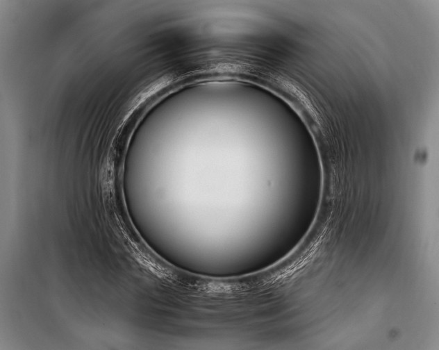 X0000101190827200806271313
