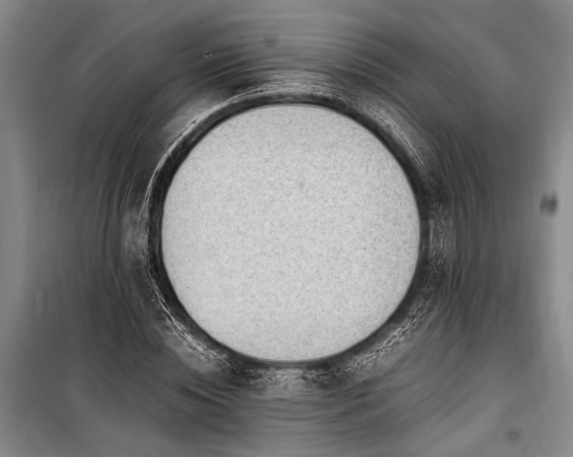 X0000101190828200806271313