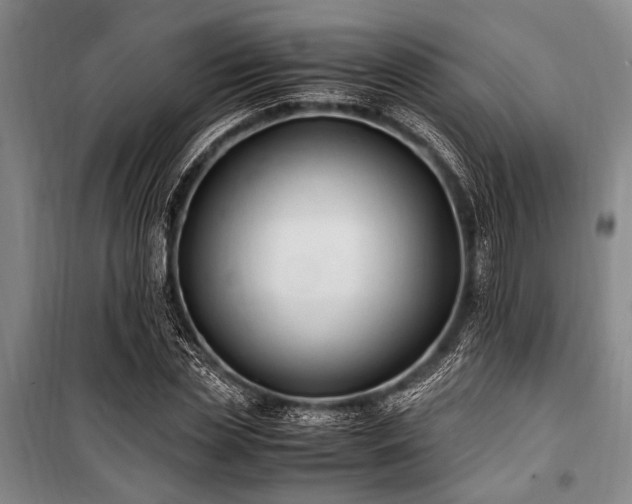 X0000101190829200806271313