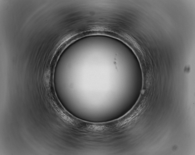 X0000101190831200806271314