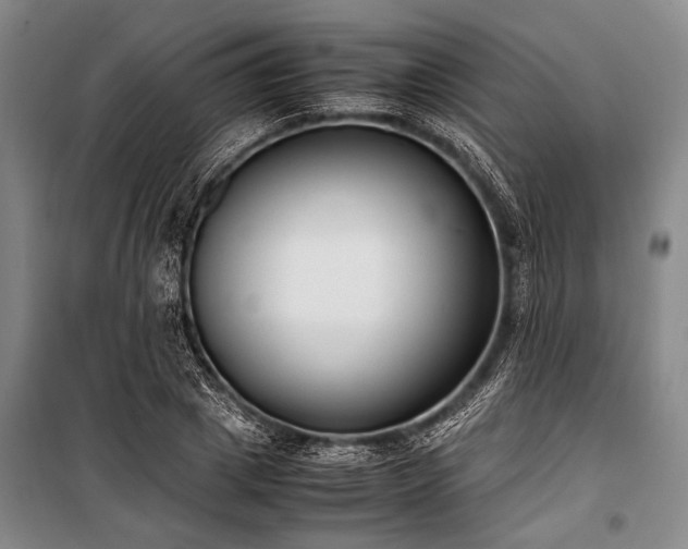 X0000101190833200806271314