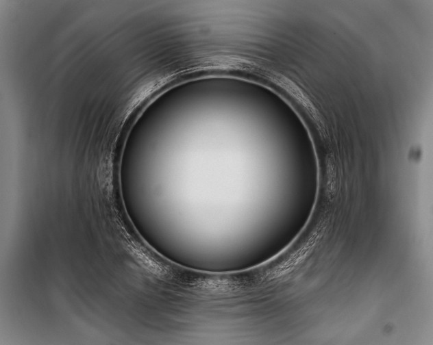 X0000101190834200806271314