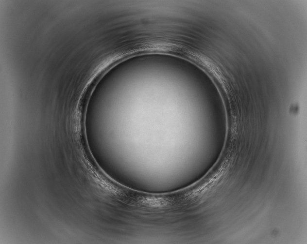 X0000101190835200806271314