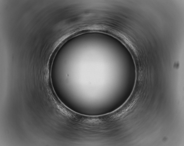 X0000101190837200806271314